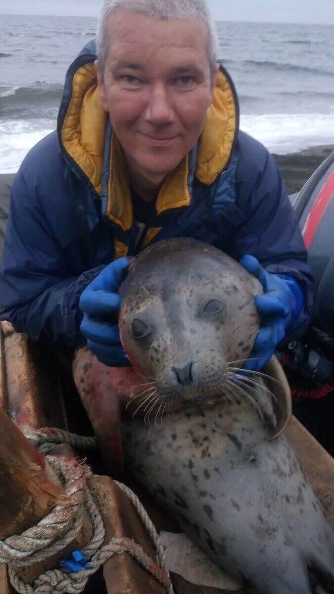 ���������� �������, ���� ������� �������, 47 ���, ������������ ��� ������, ����� � ���������, c�������� ���������