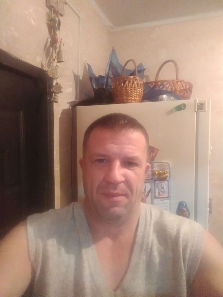  18384582  , 51 ,    
