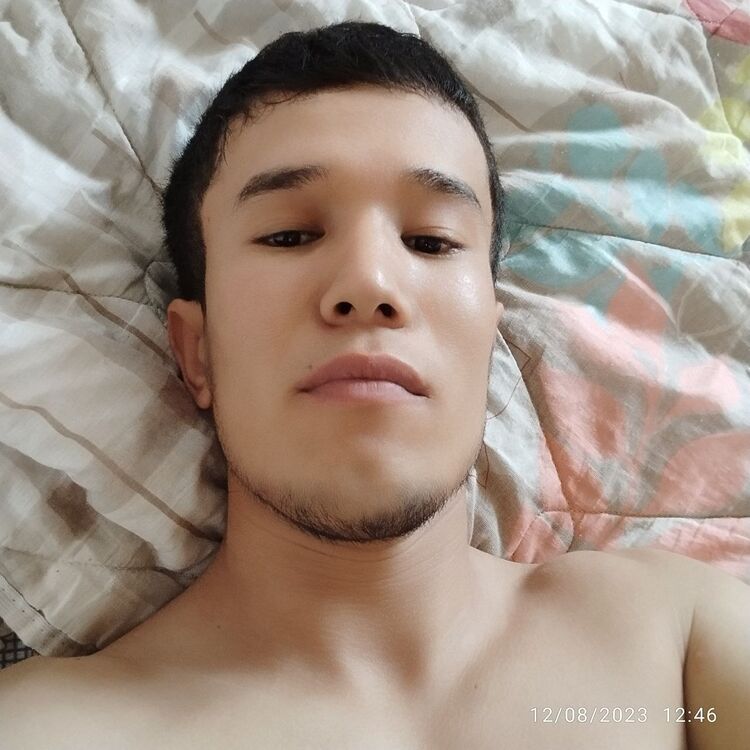  41378462  , 19 ,    
