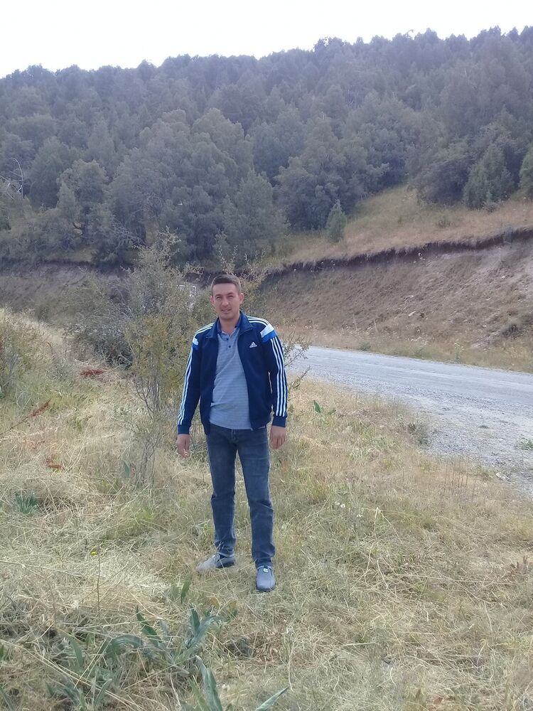  17247202  , 37 ,    