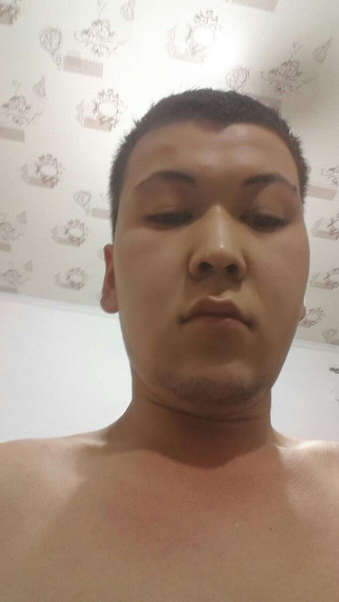  8518422  , 33 ,    