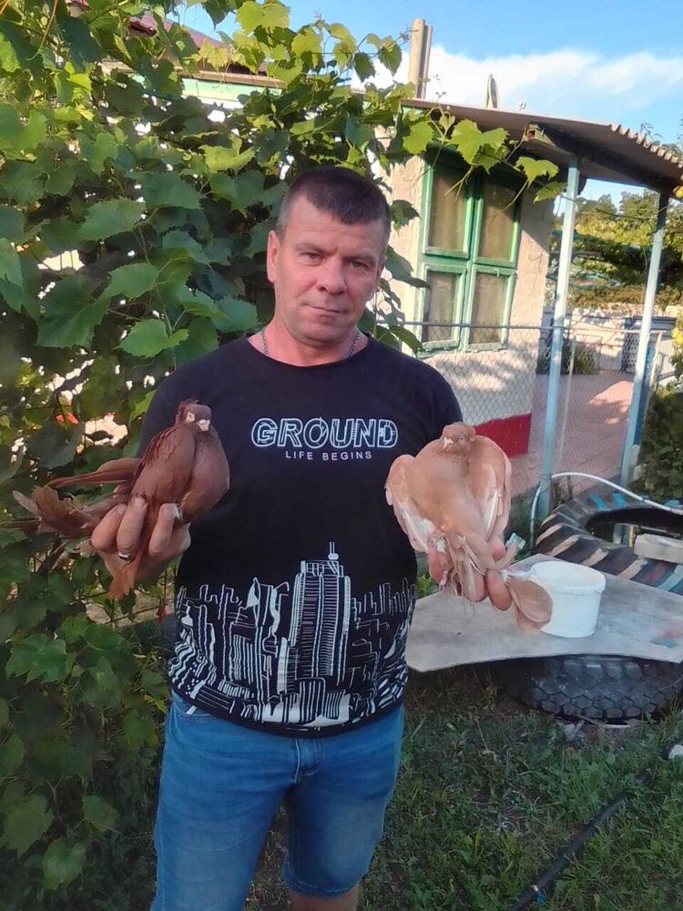 ���������� ����, ���� ������� ������, 46 ���, ������������ ��� ������, ����� � ���������, c�������� ���������