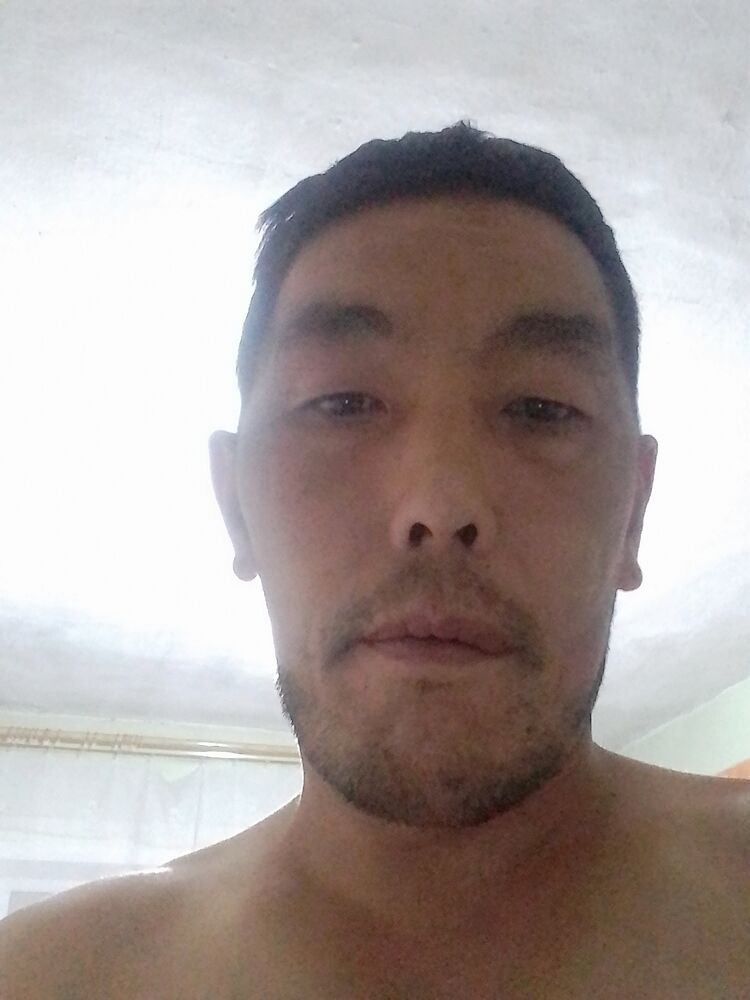 ���� 38568132 ������� ������, 40 ���, ���� ���������� � ��������