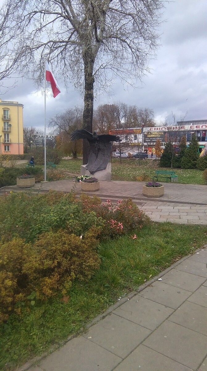 ���������� ����, ���� ������� ����, 37 ���, ������������ ��� ������, ����� � ���������, c�������� ���������