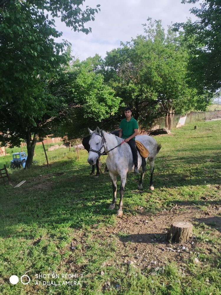 ���� 43639122 ������� Mardon, 29 ���, ���� ���������� � ��������