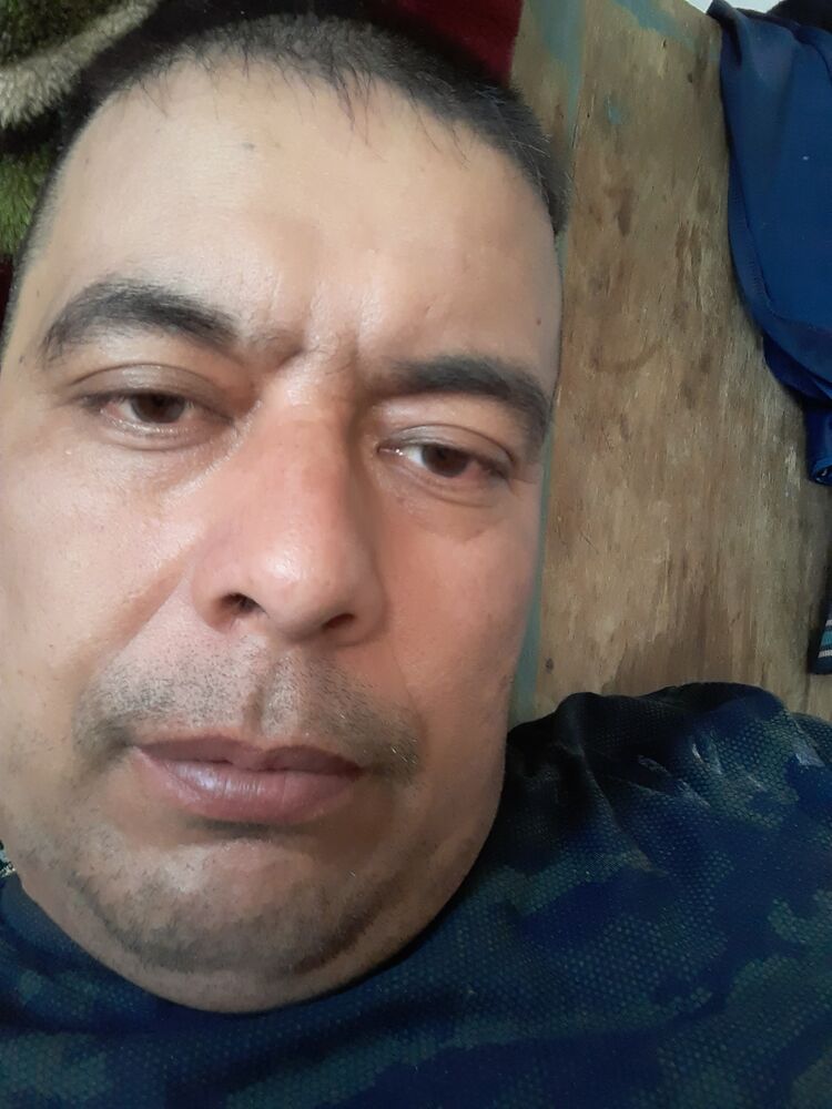  25233232  , 44 ,    