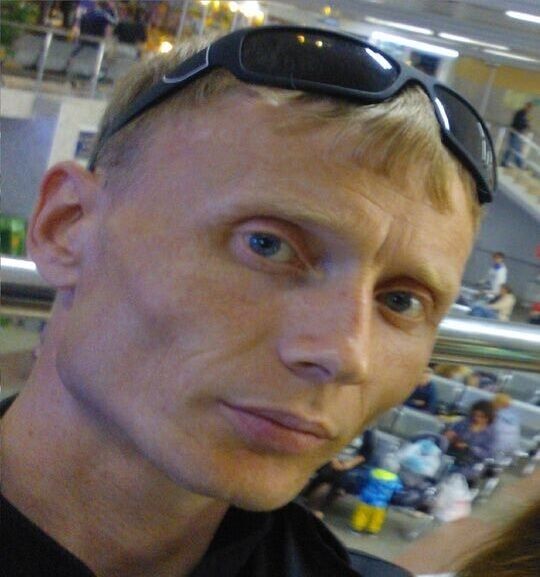  52598702  , 31 ,     