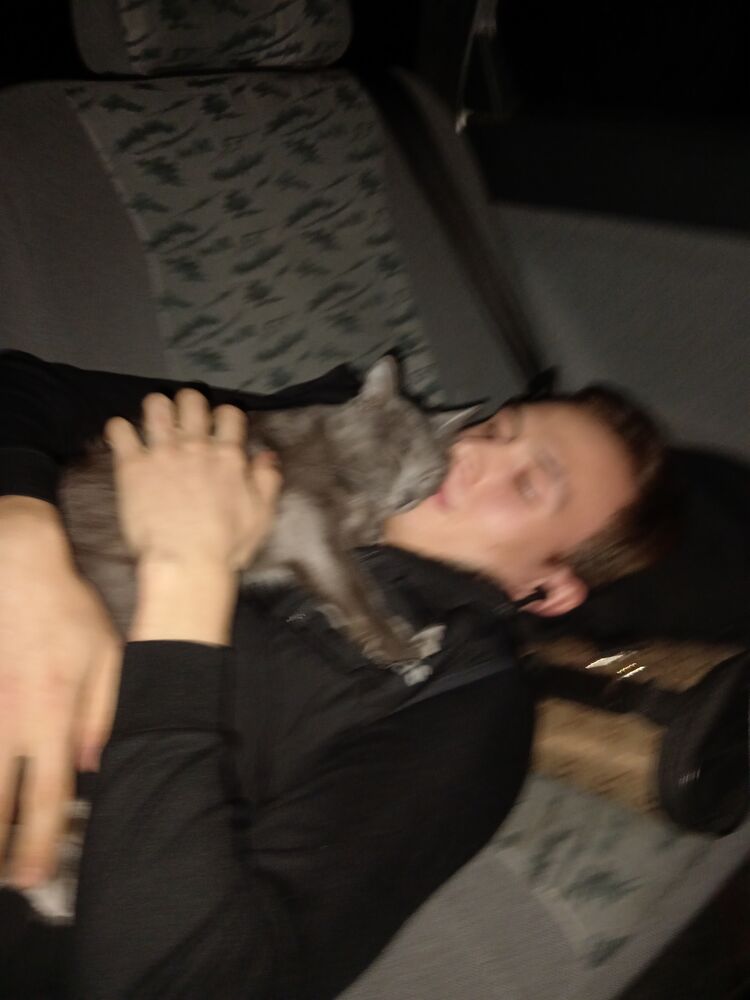 ���������� ������, ���� ����� Zhenya, 24 ����, ������������ ��� ���������