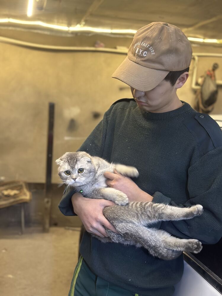 ���������� �������, ���� ������� ������, 27 ���, ������������ ��� ������, ����� � ���������