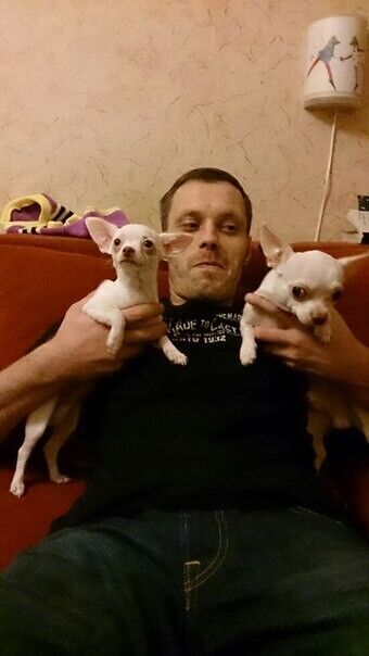 ���� 20851732 ������� �����, 46 ���, ���� ���������� � ������