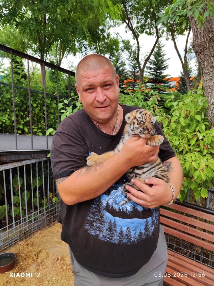 ���� 55106752 ������� ���������, 36 ���, ���� ���������� � ������������