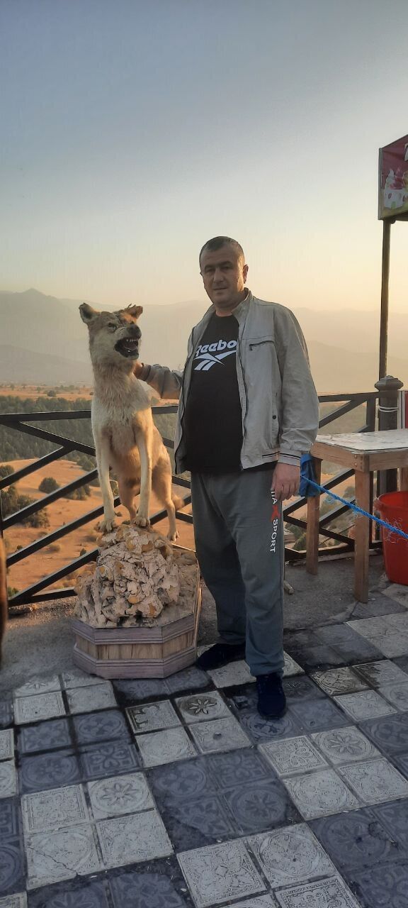 ���������� �����-���������, ���� ������� �����, 46 ���, ������������ ��� ������, ����� � ���������