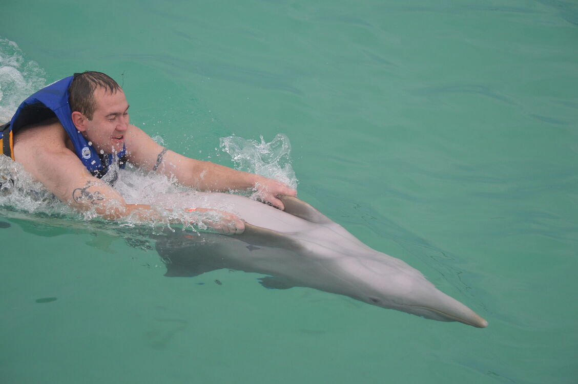 ���������� �����, ���� ������� �����, 43 ����, ������������ ��� ������, ����� � ���������, c�������� ���������