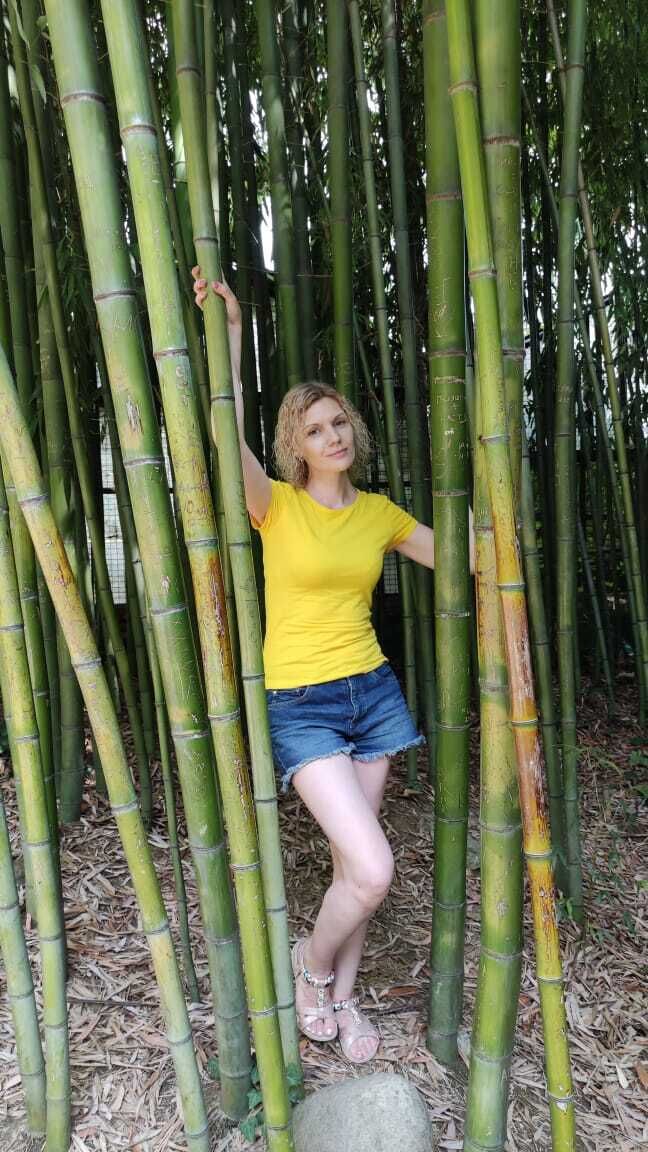  54650802  , 43 ,    -