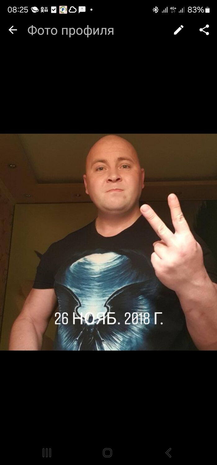  43588562  , 41 ,    