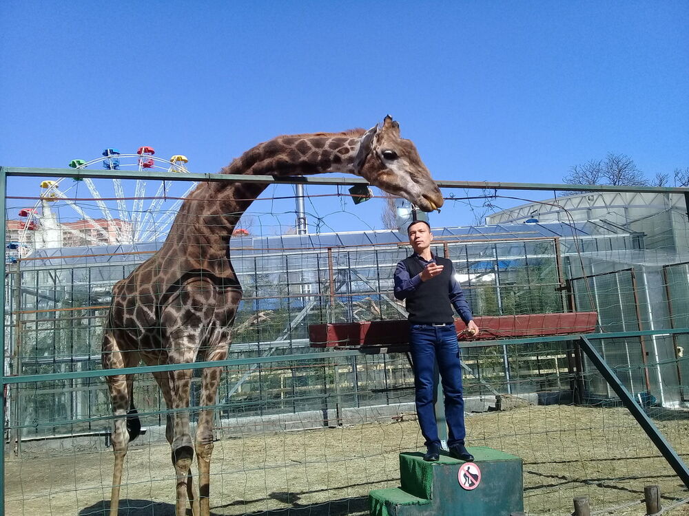 ���� 16752432 ������� �������, 38 ���, ���� ���������� � ������