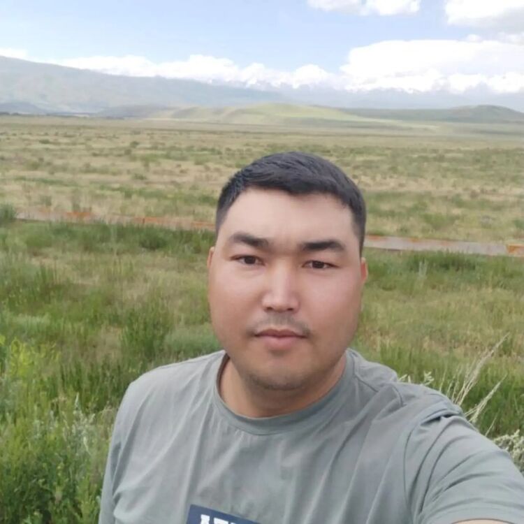 ���� 56311082 ������� Jalyn, 30 ���, ���� ���������� � �������