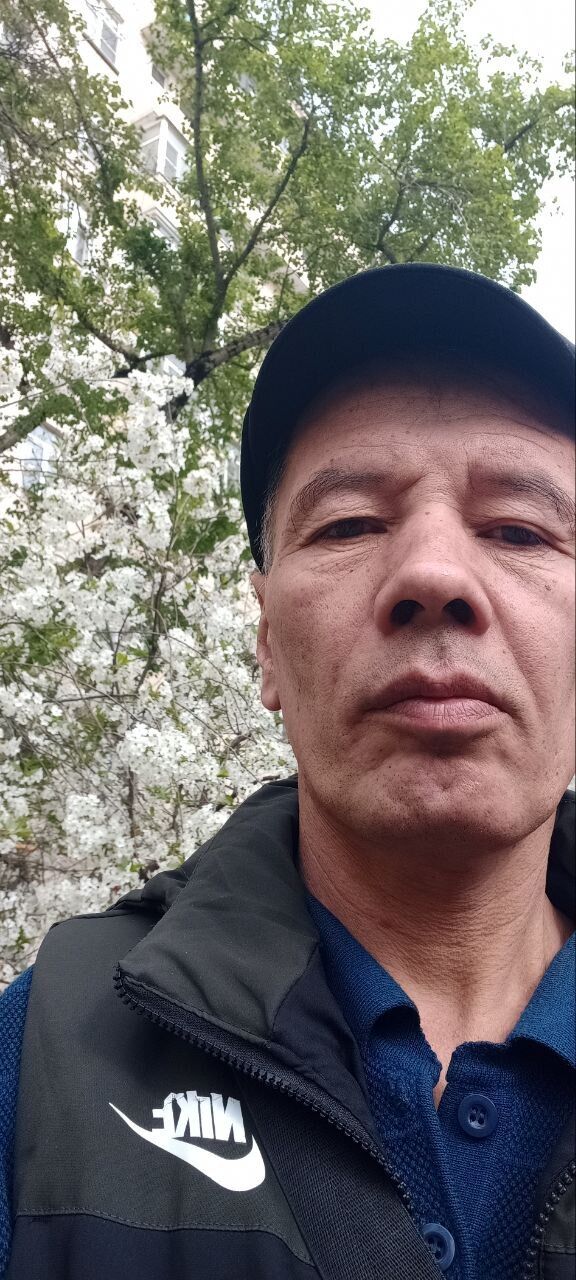 ���� 43066822 ������� �����, 50 ���, ���� ���������� � ������