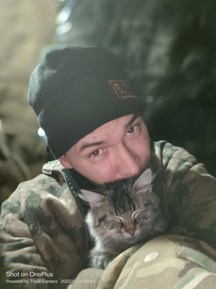  54046062  , 33 ,    -