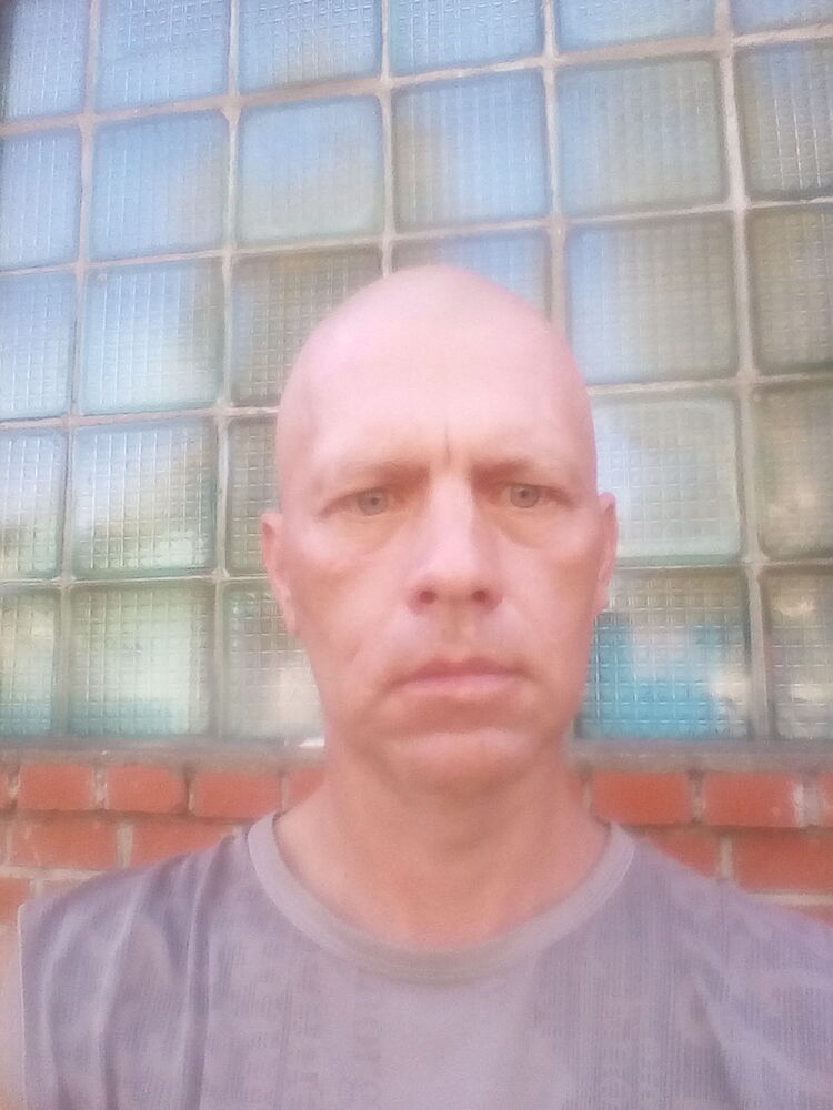  46203192  , 44 ,    
