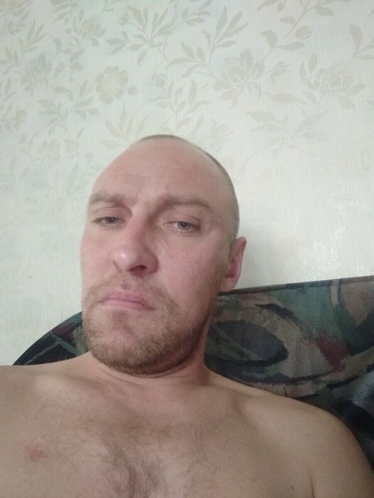  21813072  , 44 ,    -
