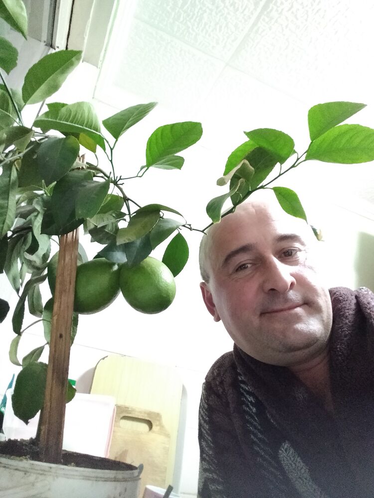 ���� 24816532 ������� ���, 49 ���, ���� ���������� � �����������