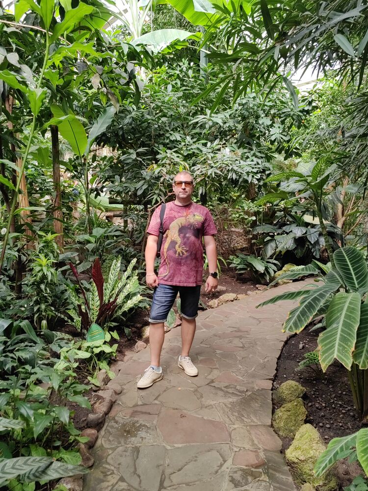 ���������� ������ ��������, ���� ������� �������, 38 ���, ������������ ��� ������, ����� � ���������, c�������� ���������, ���������