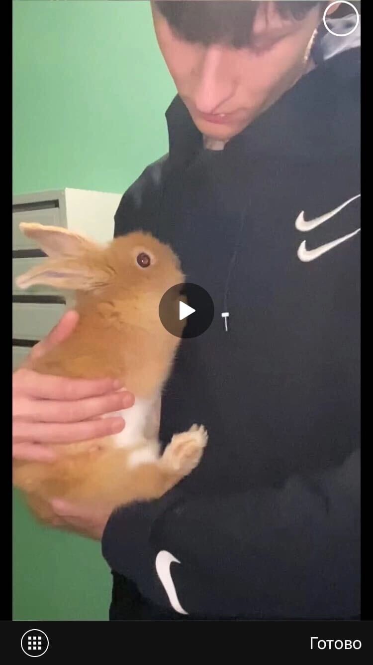 ���������� �������, ���� ����� �����, 22 ����, ������������ ��� ������, ����� � ���������, c�������� ���������