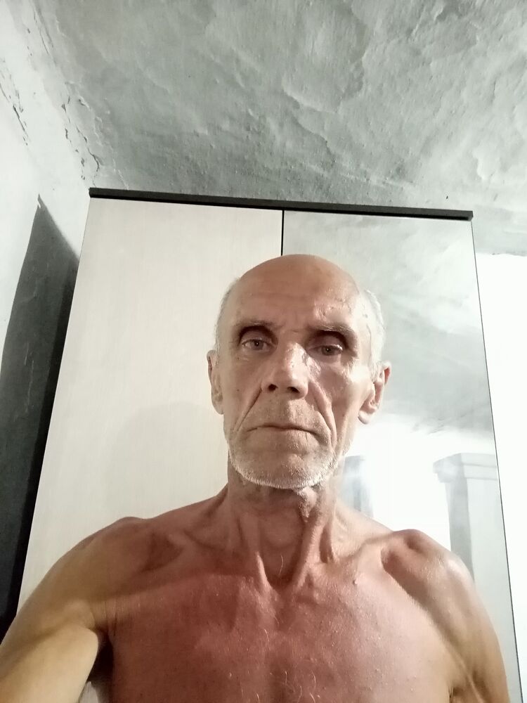  37683942  , 61 ,    