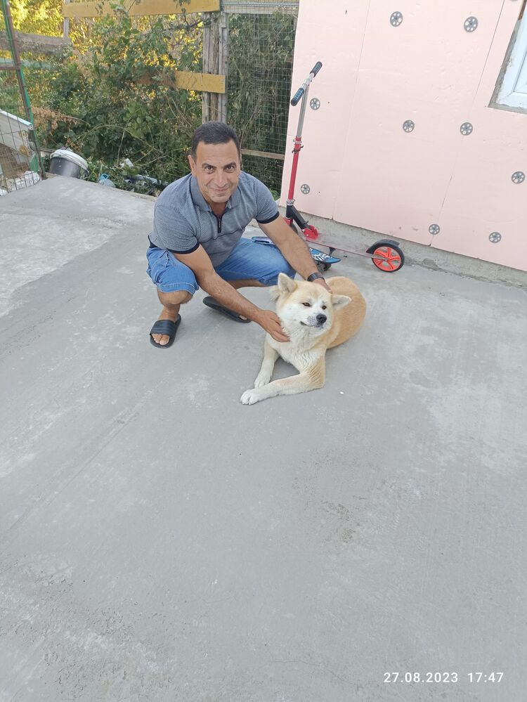  ,   , 45 ,   ,   