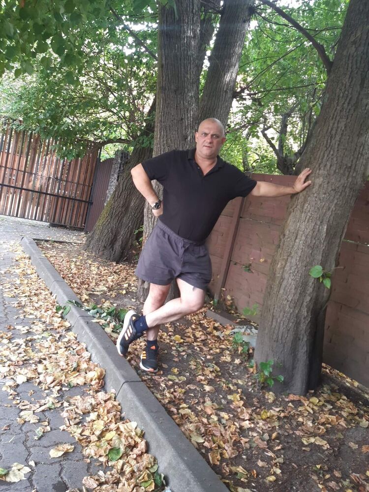 ���������� �����������, ���� ������� ���������, 46 ���, ������������ ��� ������, ����� � ���������, c�������� ���������, ���������