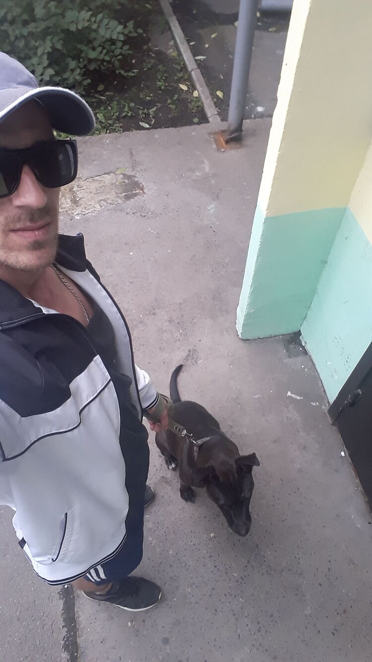 ���� 28834722 ������� �������, 36 ���, ���� ���������� � �����������