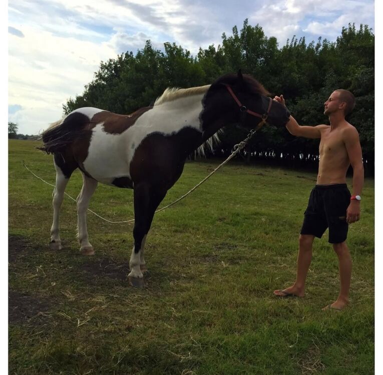 ���� 55043072 ������� �������, 27 ���, ���� ���������� � ��������