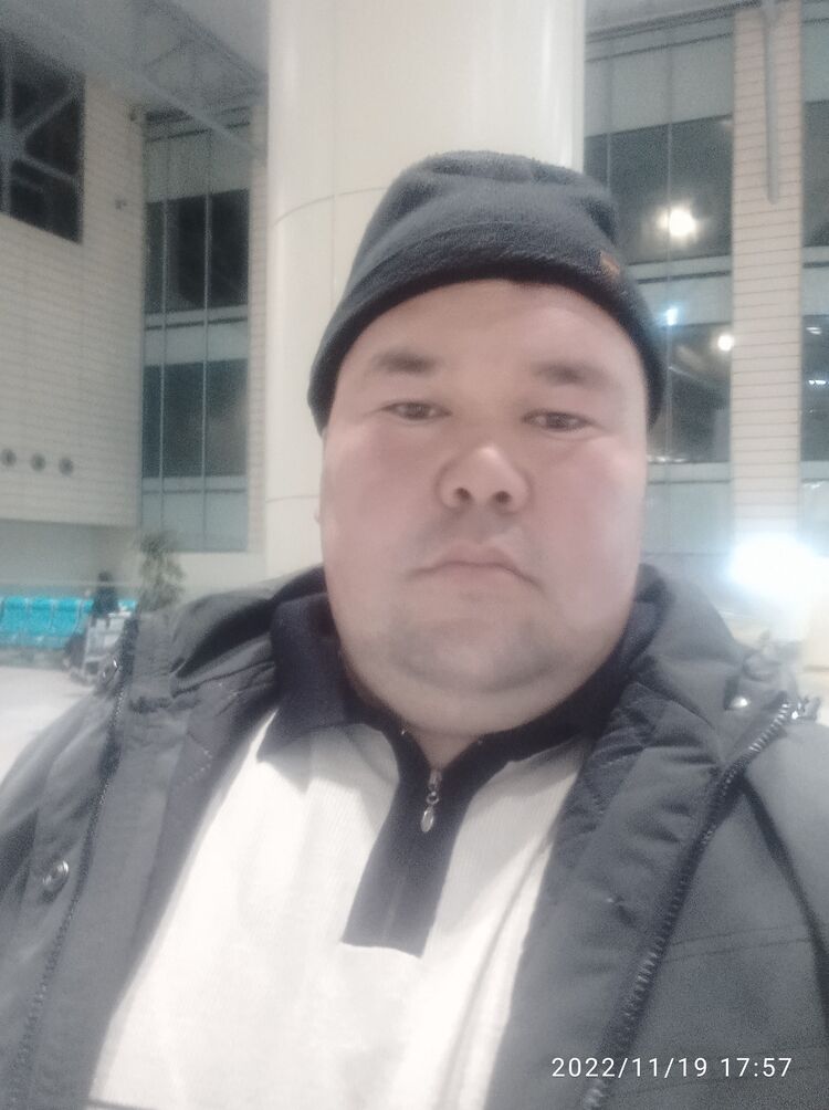 ���� 34121642 ������� ����, 33 ����, ���� ���������� � �����-����������