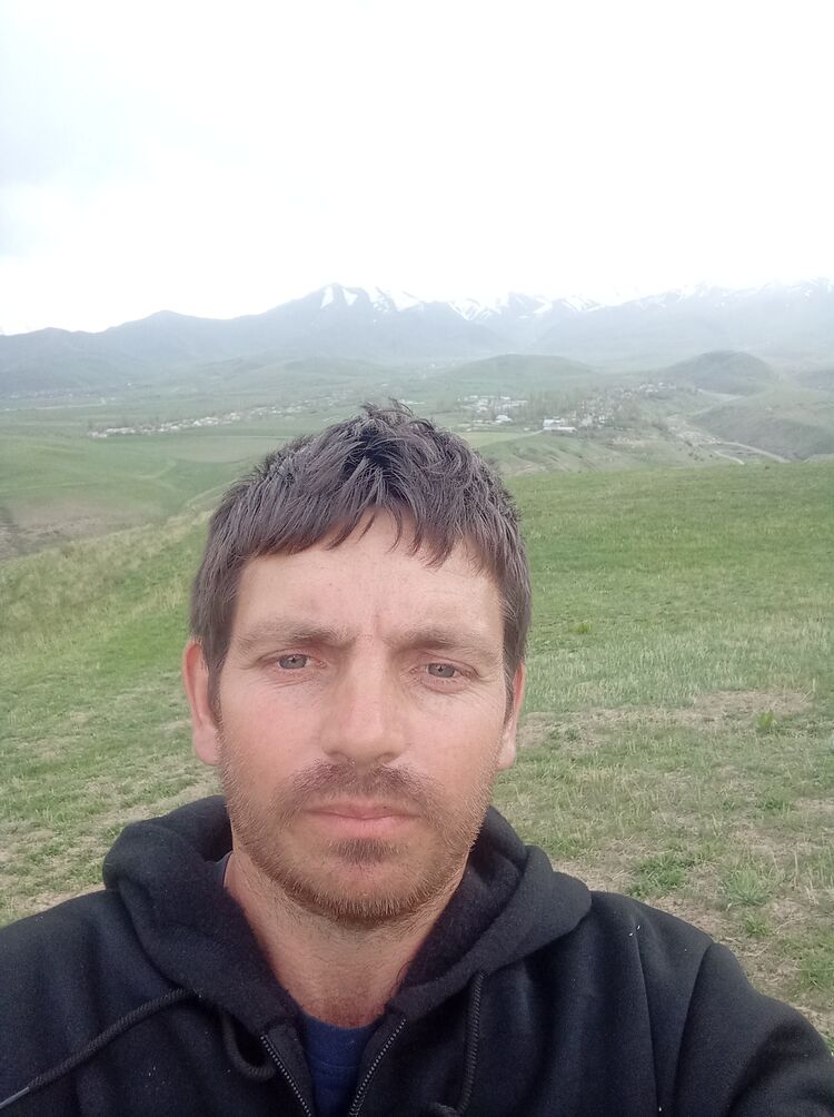  44938902  , 37 ,    