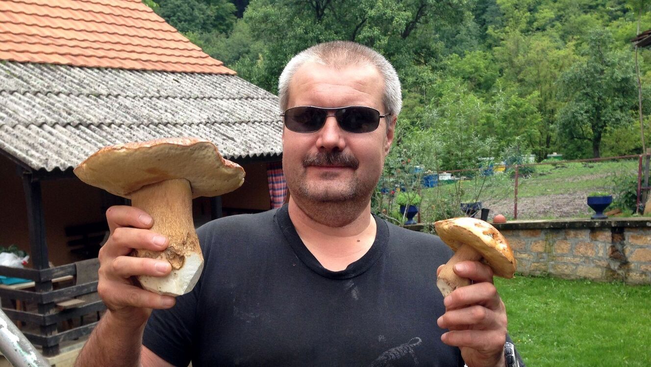 ���� 55317922 ������� ������, 45 ���, ���� ���������� � ������