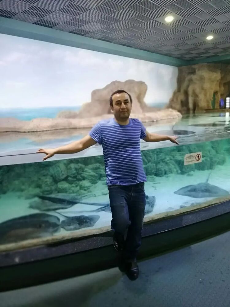  ,   , 50 ,   ,   