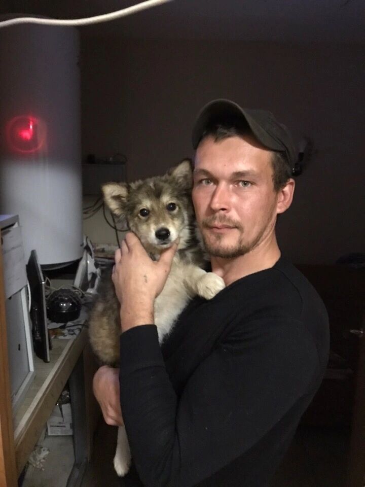  43528432  Nikolay, 37 ,    
