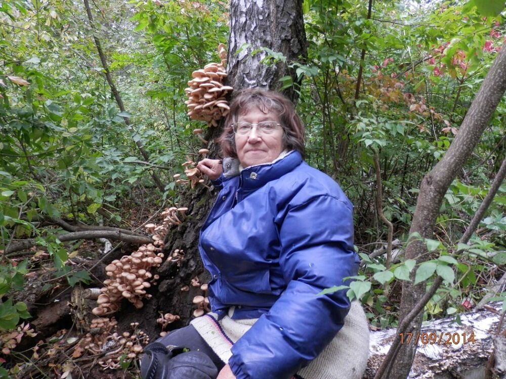  ,   , 74 ,  