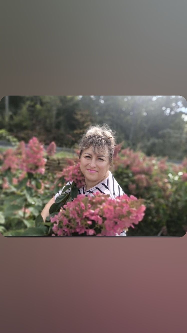 ���������� �����������, ���� ������� �������, 51 ���, ������������ ��� c�������� ���������, ���������