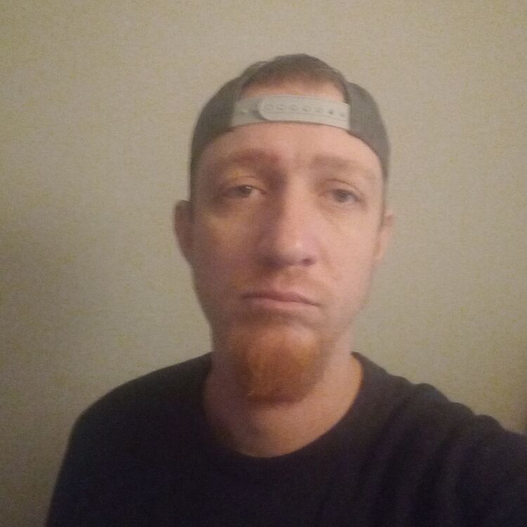  49560412  , 37 ,    