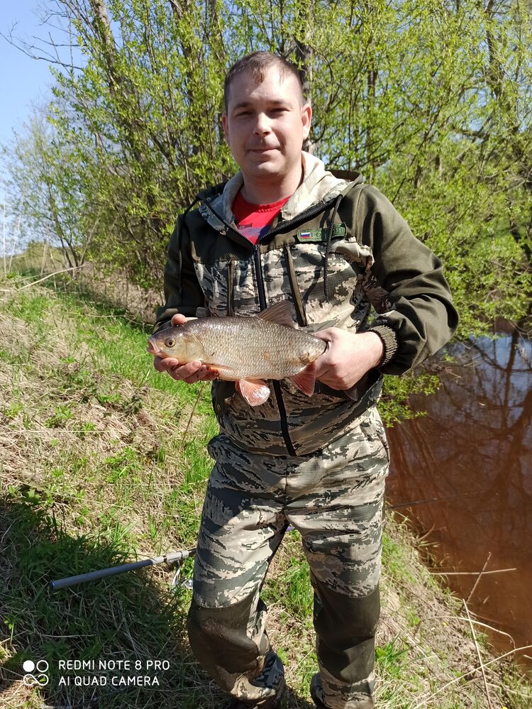 ���� 24792152 ������� ���������, 38 ���, ���� ���������� � ��������