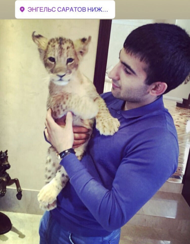 ���� 53513862 ������� �����, 30 ���, ���� ���������� � ��������