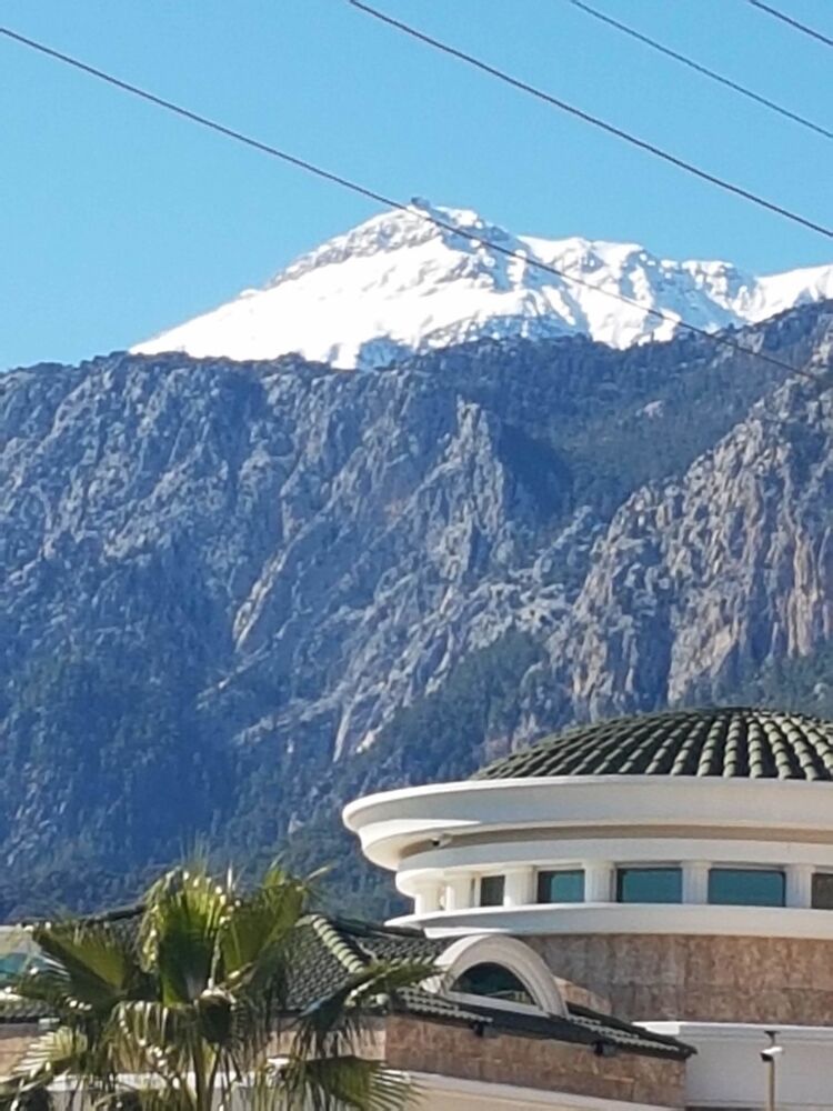 ���� 19839162 ������� Mustafa, 56 ���, ���� ���������� � ������