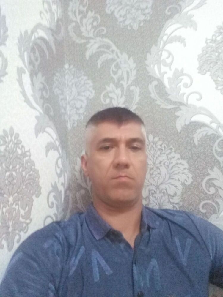  23562102  , 50 ,    
