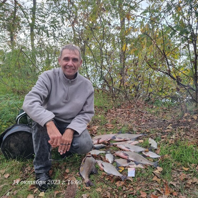  54641862  Vadja, 58 ,    