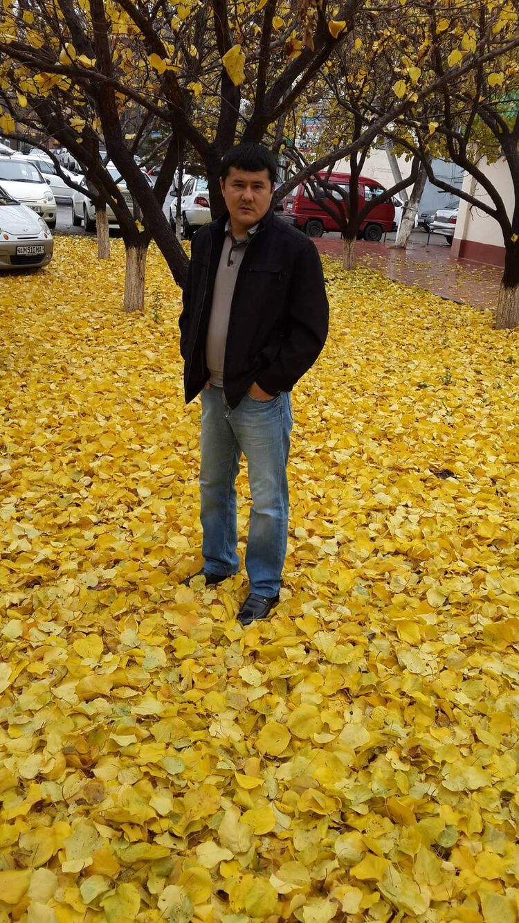 ���� 56056722 ������� ����, 46 ���, ���� ���������� � ��������