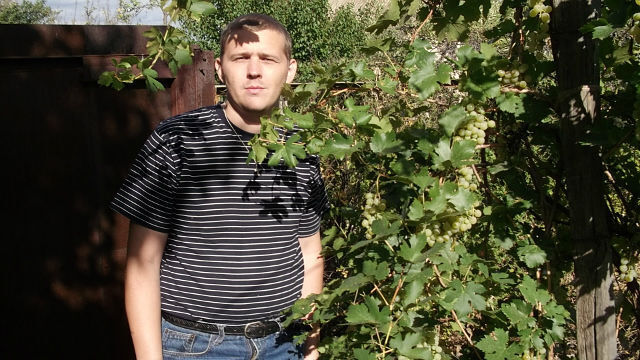  52264622  , 46 ,    -