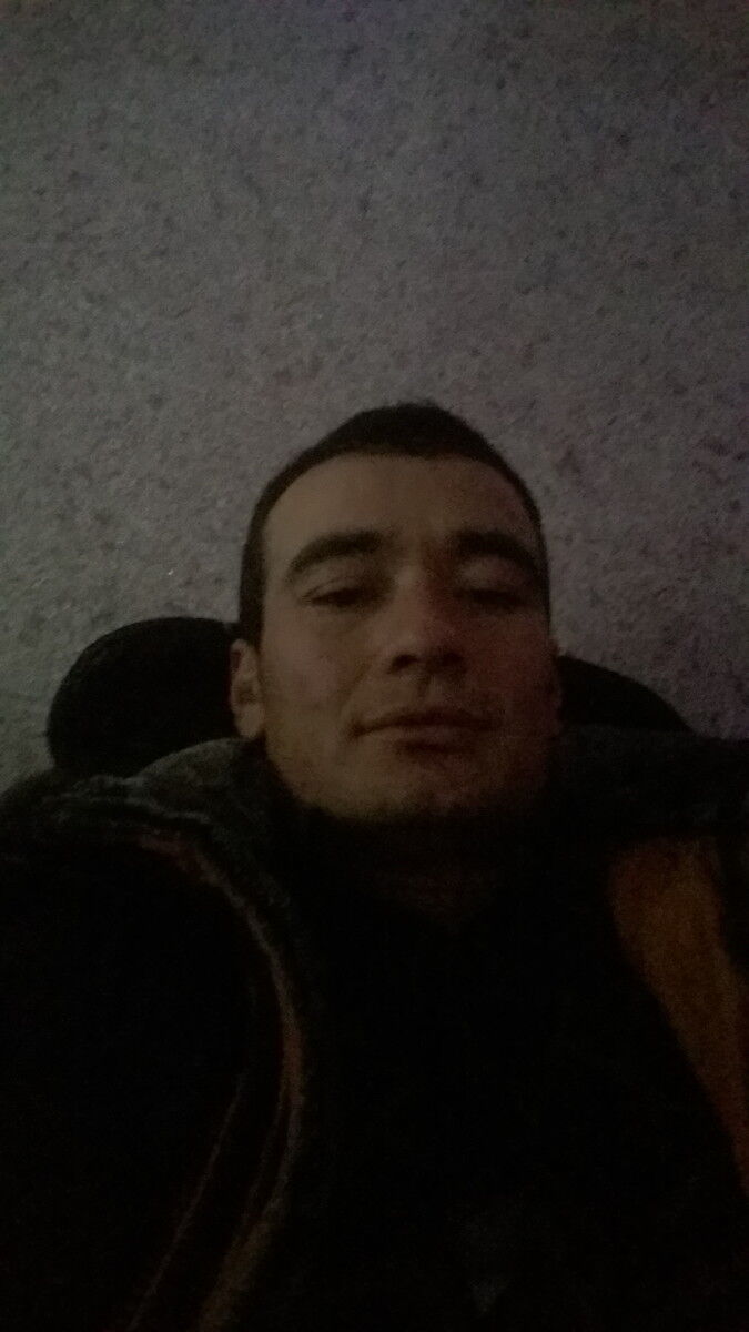  11479402  , 31 ,    