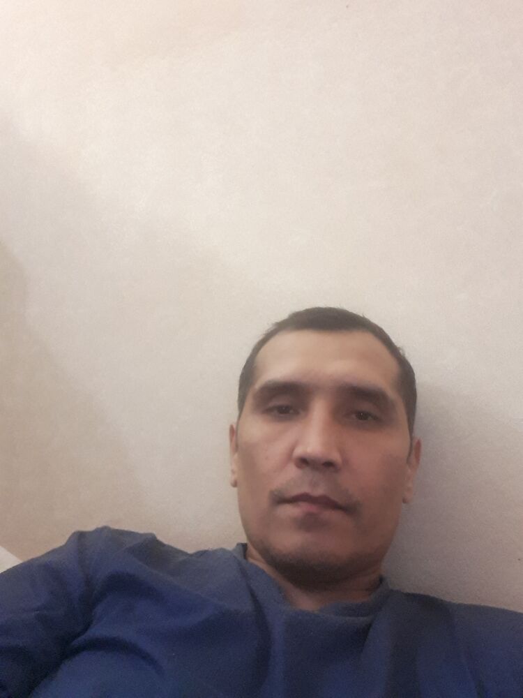  24113662  , 49 ,    